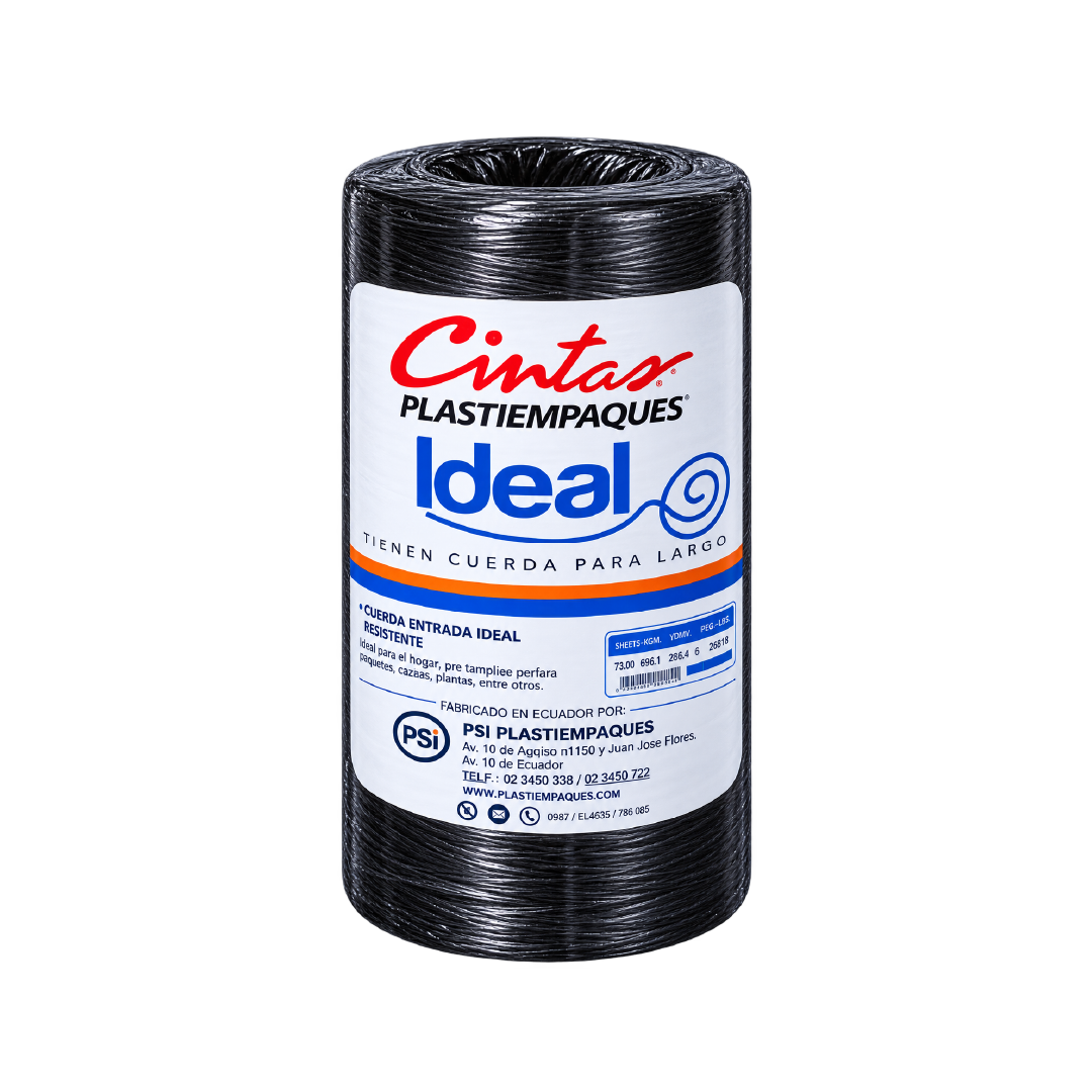 Cinta Ideal